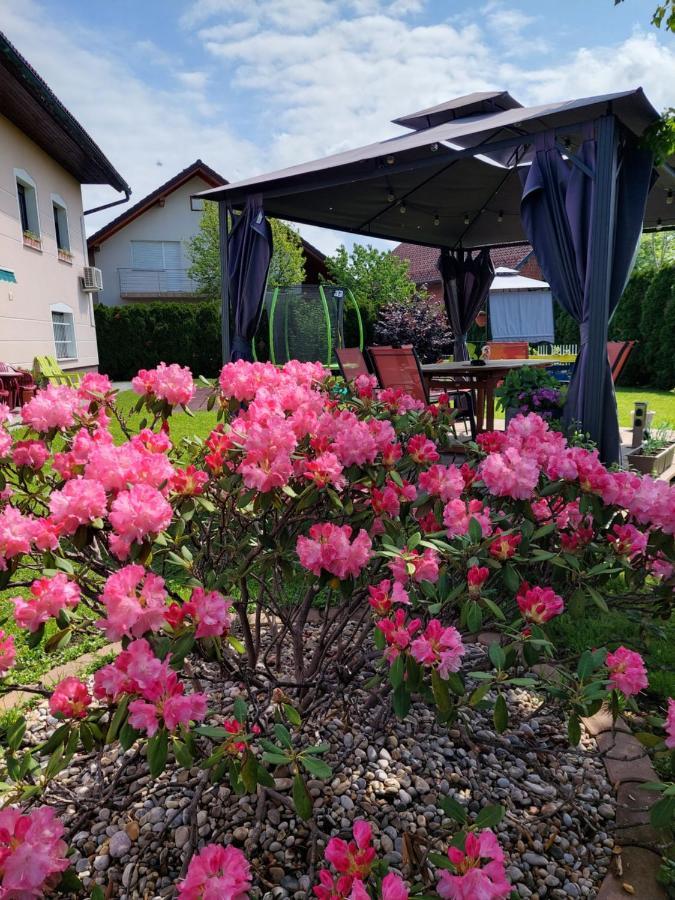 Studio Apartma Zirovnik Cerklje na Gorenjskem Dış mekan fotoğraf