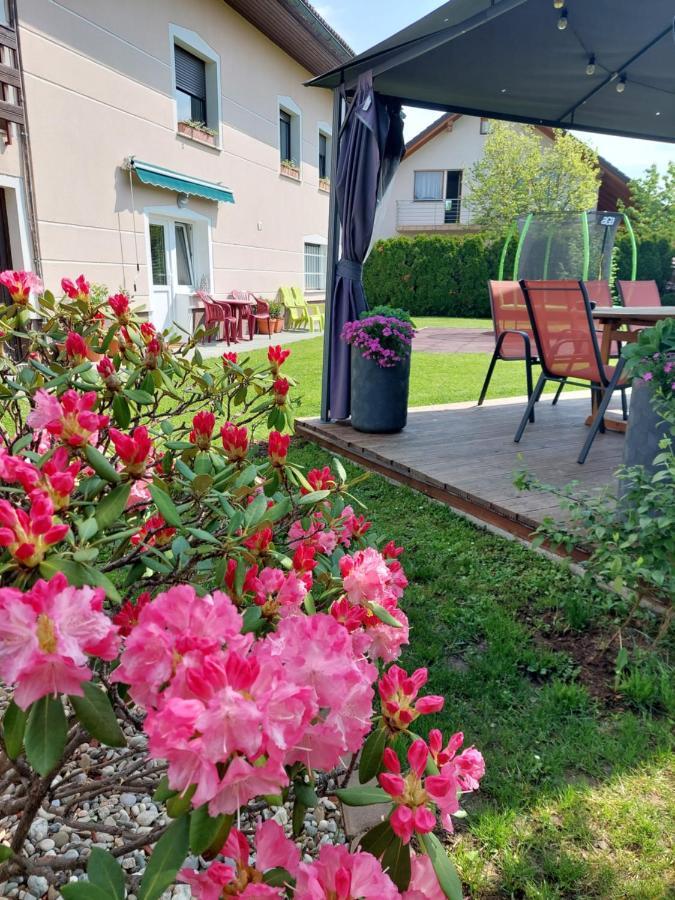 Studio Apartma Zirovnik Cerklje na Gorenjskem Dış mekan fotoğraf